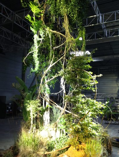 Plafond végétalisé avec plantes exotiques suspendues