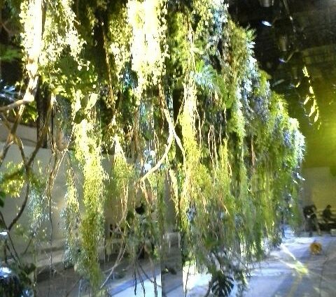 focus sur un décor de jungle suspendue pour un défilé