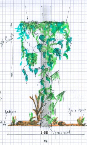 Bureau d'étude événementiel : Croquis d'intention plafond végétalisé avec plantes suspendues