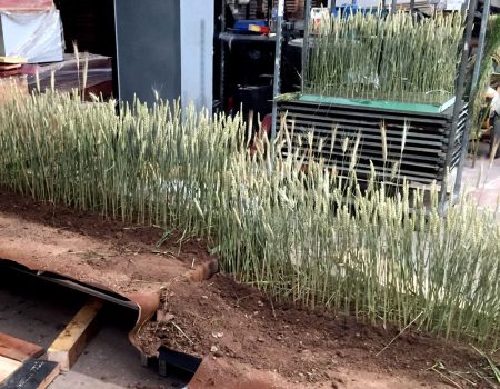 focus chantier sols test en atelier