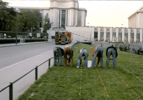 focus chantier décor thématique installation champ de citrouilles