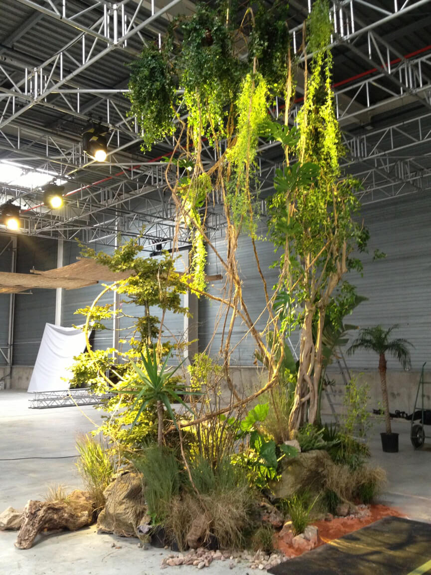 Installation d'un ilot végétal jungle avec lianes
