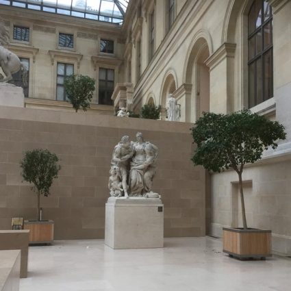 Ficus reconstitués en bac bois