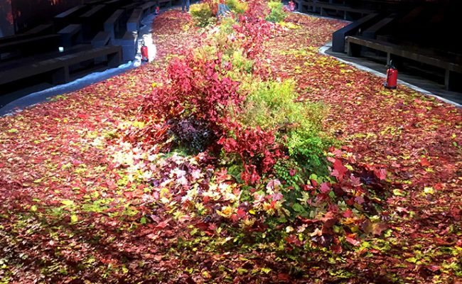 Décor sol automnal avec feuilles mortes pour un défilé